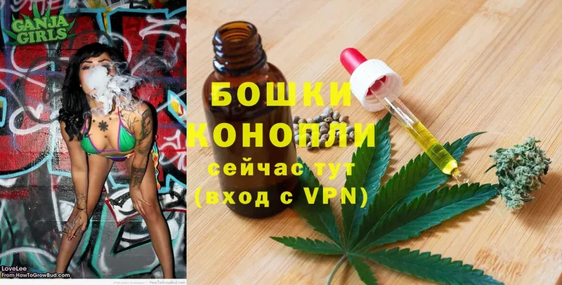 Канабис OG Kush  Рассказово 